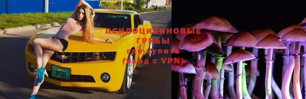 хмурый Армянск