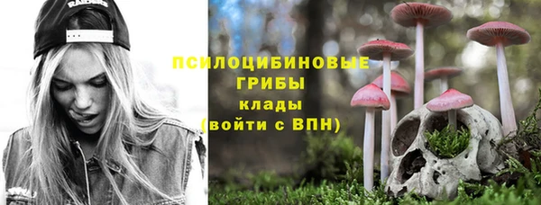 ешки Арсеньев