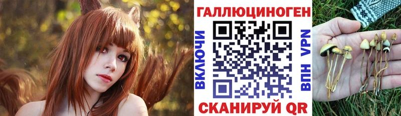 Галлюциногенные грибы Psilocybine cubensis  Купить закладки  Бокситогорск 
